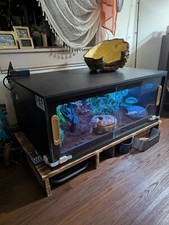 Large reptile enclosure for sale  Orland Park