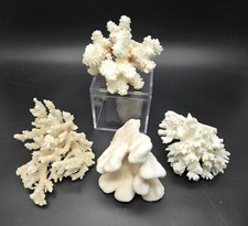coral pieces decoration for sale coral pieces decoration for sale Ventura