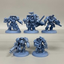 Wolf guard terminator for sale  ASHFORD