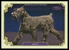 2024 topps allen for sale  Zeeland