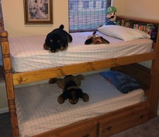 Bunk beds storage for sale  Woodstock
