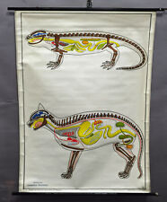 Vintage bild poster gebraucht kaufen  Berghülen