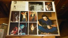 Stevie ray vaughan for sale  Allen Park
