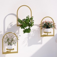 Wall plant holder for sale  Eugene