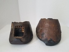 Echte pferdehufe hufe gebraucht kaufen  Albstadt