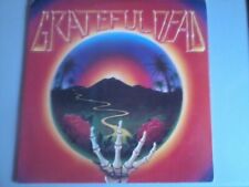 Grateful dead stella usato  Ferrara
