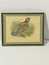 Vintage framed print for sale  SHREWSBURY
