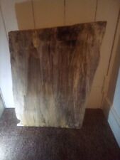 Board spalted sycamore for sale  WOODBRIDGE