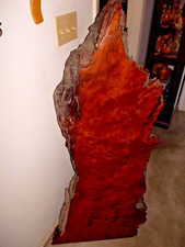 Redwood burl wood for sale  Saint Petersburg