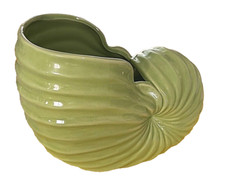 Rare coastal large for sale  Pelham