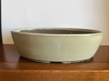 Bonsai vaso per usato  Roma