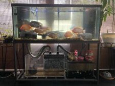 120 gallon fresh for sale  Miami