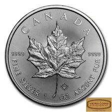 silver maple leafs for sale silver maple leafs for sale Elmhurst