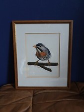Hübsche zeichnung vogel gebraucht kaufen  Augsburg