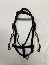 Collection western halter for sale  Newton