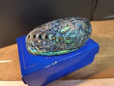 Abalone shell polished for sale  Lynchburg