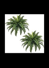 Forest prince fake for sale  Wooster