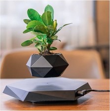 Xinlee schwebender magnetische gebraucht kaufen  Vreden