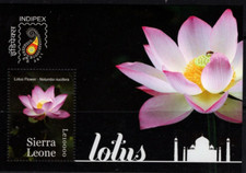 Sierra leone 2011 usato  Italia