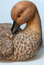 Herco professional gift for sale  Alachua