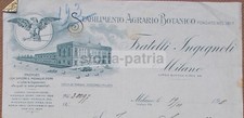 Agraria botanica ditta usato  San Severo