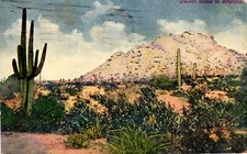 Desert scene arizona for sale  Pelham