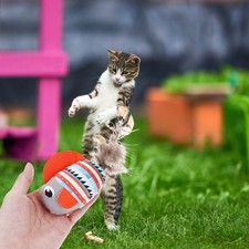 Peluche gatto giochi usato  Spedire a Italy