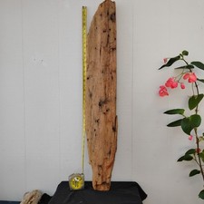Large raw ocean for sale  Brookings