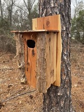 custom owl boxes for sale custom owl boxes for sale Swansea