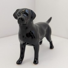 Black labrador retriever for sale  Seattle