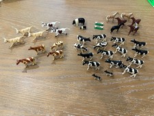 farm animals for sale  Lady Lake