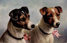 Künstler terrier rosa gebraucht kaufen  Berlin