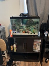 20 gallon fish tank for sale 20 gallon fish tank for sale New Rochelle