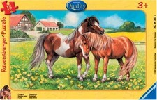 Ravensburger ponyglück rahmen gebraucht kaufen  Deutschland
