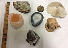 Geological rocks fungia for sale  BRISTOL