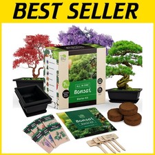 Beginner friendly bonsai for sale  Voorhees