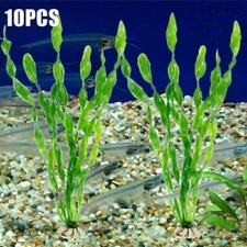 Plantes aquarium plantes d'occasion  France