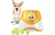 Automatic dog ball for sale  Chino