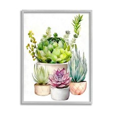 Ziwei design succulent for sale  Brigham City