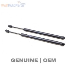 2015-2019 BMW X6 - HOOD Strut / Shock Absorber SET 7294524 comprar usado 2015-2019 BMW X6 - HOOD Strut / Shock Absorber SET 7294524 comprar usado  Enviando para Brazil