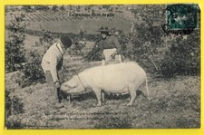 Cachet tulle 1911 d'occasion  Paimbœuf