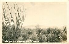 1944 desert scene for sale  Lincoln