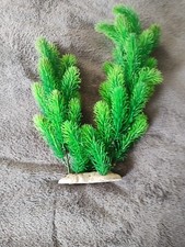 Large aquarium plant for sale  LONDON