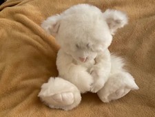 Snowie cat alices for sale  HITCHIN