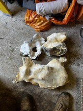 Extra large flint for sale  WHITSTABLE