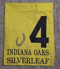 Silverleaf 2022 horseshoe for sale  Lexington