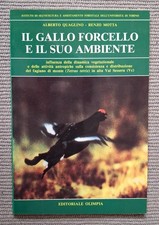 Quaglino motta gallo usato  Italia