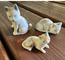 Vintage kittens cats for sale  Waynesville
