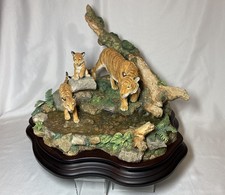 Rains tiger cubs for sale  NORTHAMPTON