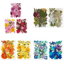 Fiori secchi fai usato  Spedire a Italy